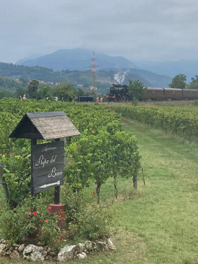 Capriolo Agriturismo Ripa Del Boscoヴィラ エクステリア 写真