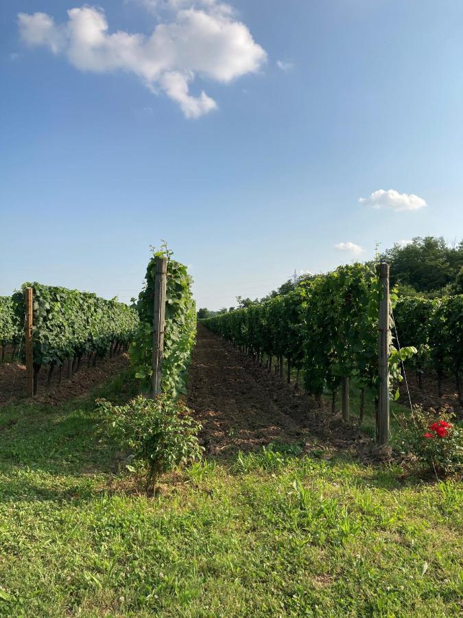 Capriolo Agriturismo Ripa Del Boscoヴィラ エクステリア 写真