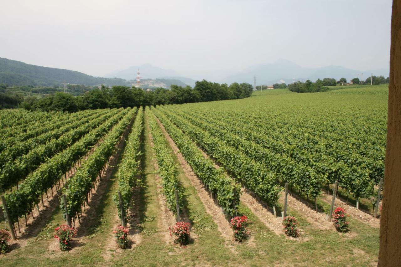 Capriolo Agriturismo Ripa Del Boscoヴィラ エクステリア 写真